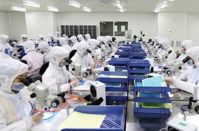 厦门 7万岗位面朝大海，有色金属压延加工行业诚邀英才